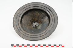 Foto von Bronzephalere (NHMW-PRAE-025079)